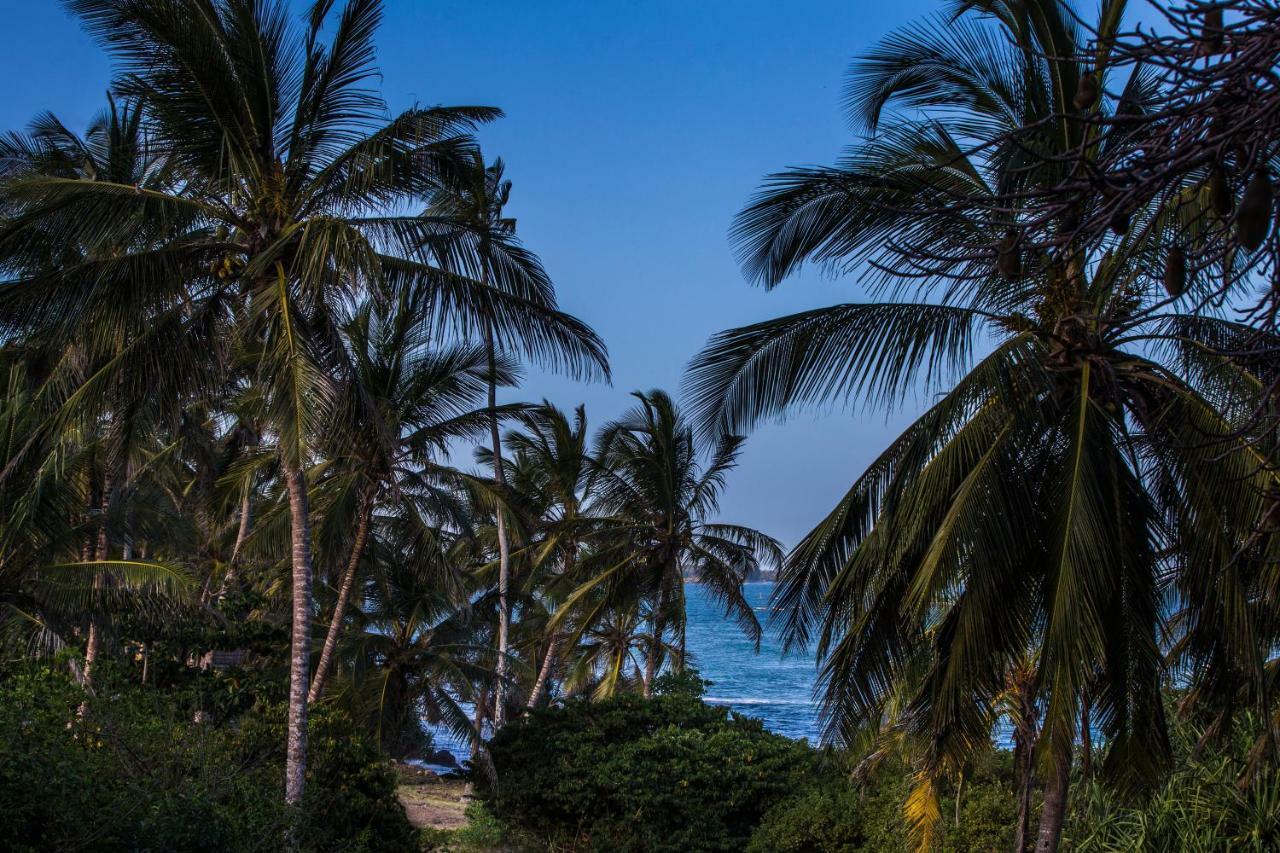 Msambweni Beach House Villa Esterno foto